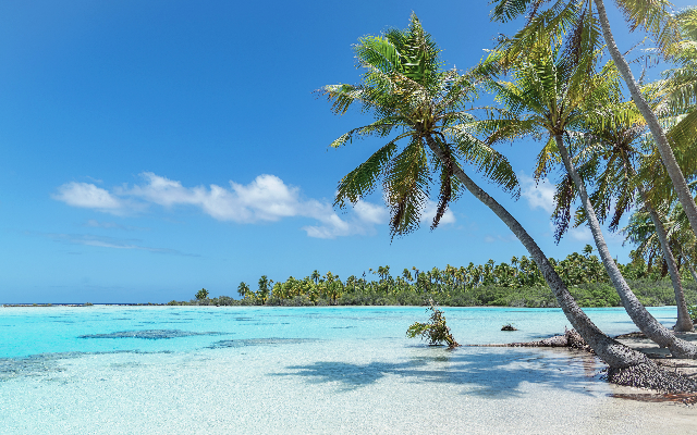 Want to Escape to a Caribbean Island? Barbados Is Offering a 12-Month Visa for Remote Workers!