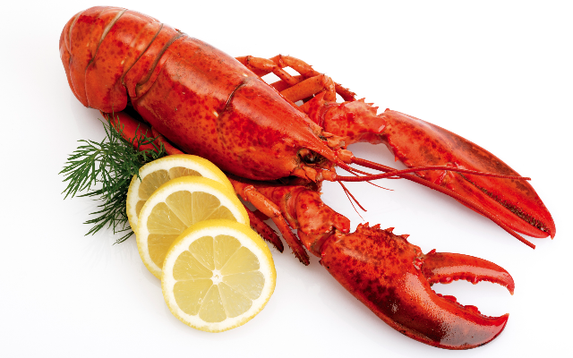 The Top Things Lobsters Would Say If They Could Talk