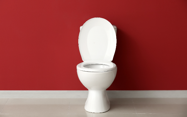 Two-Thirds of Americans Refuse to Poop at Work