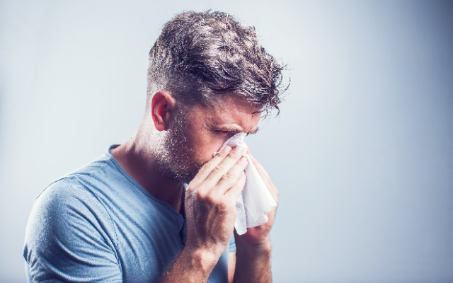 The Top Things We’re Googling About Allergies Right Now