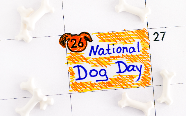 5 BONUS Nuggets of Knowledge For Your Noggin’ for National Dog Day – 8/26/22