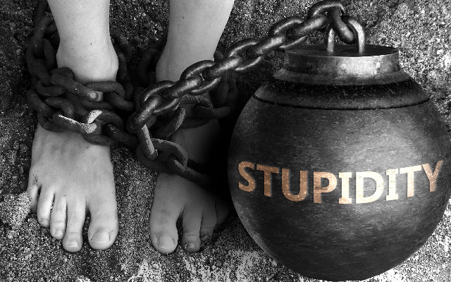 Five Rules for Surviving Stupid People